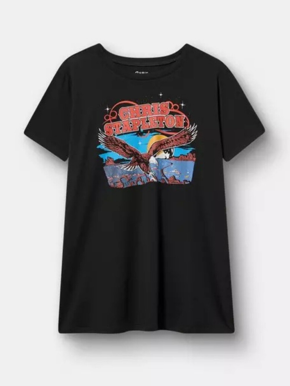 Nwt 2x Torrid Chris STAPLETON Classic Cotton Tee